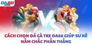 Cách chọn đá gà tre DA88 giúp sư kê nắm chắc phần thắng