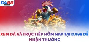 Xem đá gà trực tiếp hôm nay tại DA88 dễ nhận thưởng